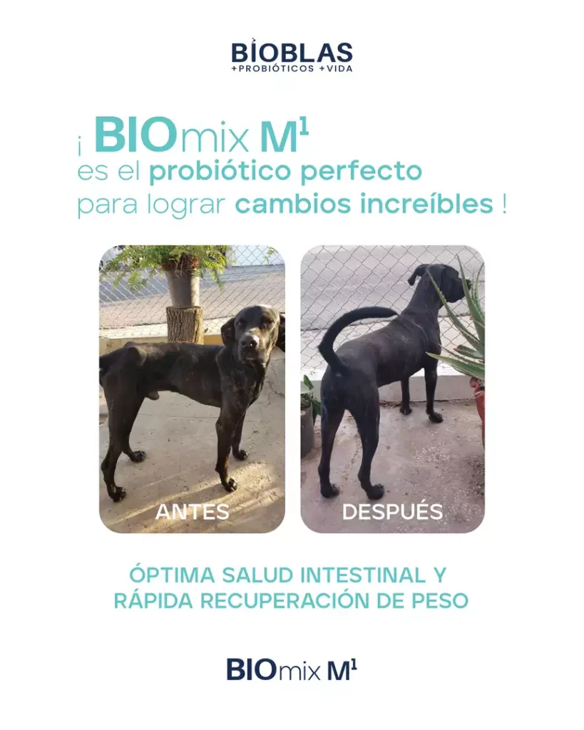 Bioblas-BIOmix-M¹-150gr-5